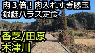 肉３倍の肉入れすぎ豚玉 銀鮭ハラス定食 牧場ヨーグルト【奈良京都 香芝木津川】