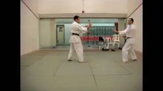 Juni no Kata