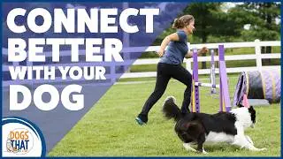 Mini Q&A With Susan: How To Keep Connection Strong And Motivation High In Dog Agility