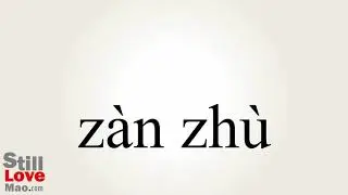 How to Say Sponsor in Chinese