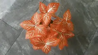 Cara Membuat Daun Hias Mini Plastik Kresek-How to Make Plastic Crackle Mini Decorative Leaves
