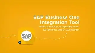 De SAP Business One Integratie Tool
