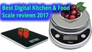 Best Digital Kitchen & Food Scale reviews 2017   Pronto Precision Plus Digital