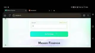 Navigating Meson Finance