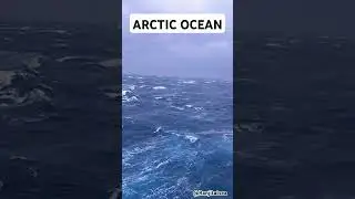 🌍❄️ Journey to the Arctic Ocean 🧊🐻&zwj;❄️#shorts