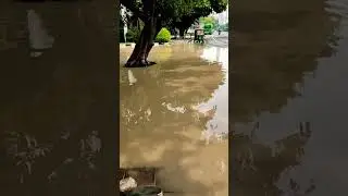 Yamuna River over flooded #trendingnews  #shortvideo #river #flood #delhi #viral