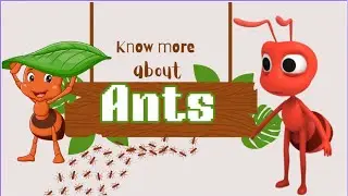Amazing World of Ants  Nature&rsquo;s Tiny Superheroes #ants #didyouknow #naturetrivia #funknowledge #fyp