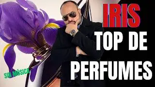 10 PERFUMES de IRIS que NECESITAS CONOCER (y Amar) ✨ 