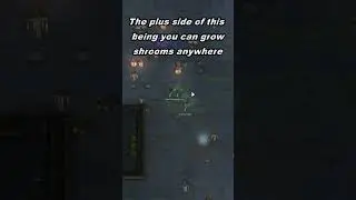 Glowfields Are Glowups! Rimworld OP #shorts