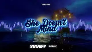 Sean Paul - She Doesn't Mind (SARMY REMIX)