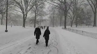 POV Central Park Loop in a Snowstorm | 1 Hour Citibike Ride ❄️ | Jan 25 2026