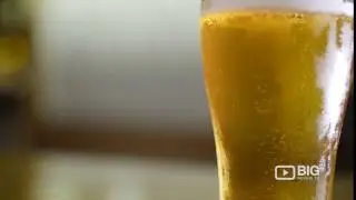 Barbara a Bar in Brisbane serving Cocktail, Beer and Food
