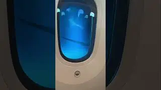 Magic Window Shades?!
