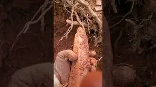 Rockhounding Colorado Springs