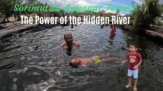 சொரிமுத்து அய்யனார் Temple Adventure #thirunelveli #sorimuthuayyanar #papanasam #temples #travelvlog