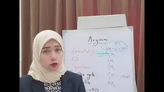 ( Protein Metabolism Session 15) Basic Amino Acids