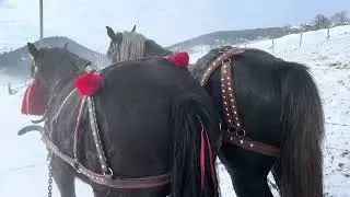 29 січня 2026 р.