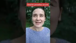 ,,Soarbe