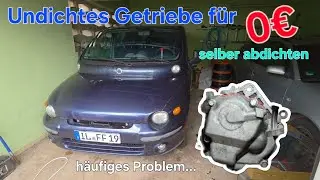 Fiat Multipla - Getriebe abdichten - Easy Fix? | Multipla Garage 