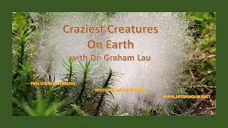 Craziest Creatures on Earth with Dr. Graham Lau