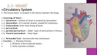 ADMLT  1  ANAT AND PHYSIO  TH  COMPLETE   DR  MUTHA