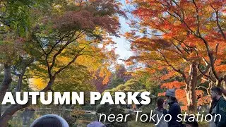 Things to do in Japan Autumn - Spots near Tokyo station - Kitanomaru Park, Hibiya Park, Gyoko Street