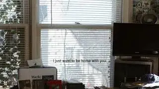 Austin Sebek - home (lyric video)