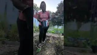 Garden Therapy 💚🌿