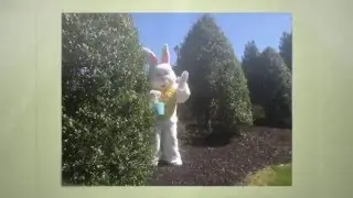 A visit from the Easter Bunny 360p
