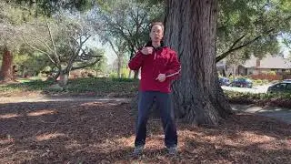 Fall Prevention Training 2: Improve alertness and sensitivity through Qigong