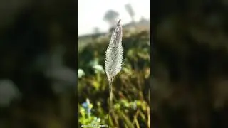 creative winter water || drop mobile 🔥 pro mode photography #edit #tipsntricks #photography #shorts