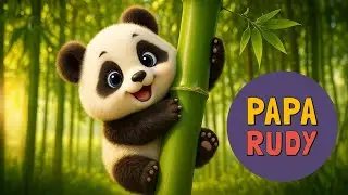 Little Panda on the Bamboo 🐼 Kids & Kindergarten Songs | Paparude