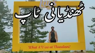 Thandiani top | hotel review | Forest Resort