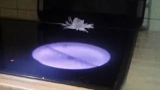 avatar jellyfish