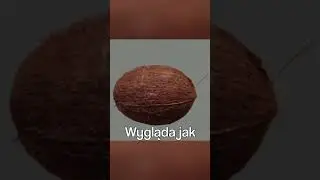 Czy usunięcie kokosa psuje grę Team Fortress 2?