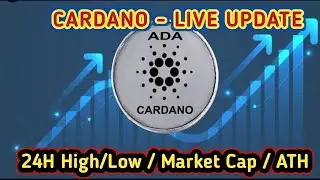 Cardano (ADA) Price Today | Market Cap, Rank, All-Time High / Low Update | cardano price today live