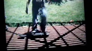 variel out of a casper bail!
