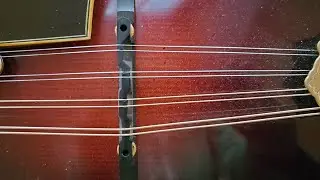 Unboxing McClanahan Mandolin Serial # 756