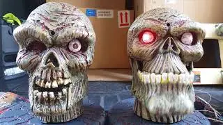 Rotten Heads