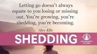 Daily Calm &mdash; August 6, 2025 &mdash; Shedding 