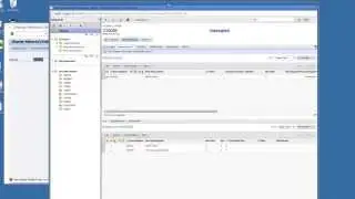 Magic xpi for SAP and Agile PLM