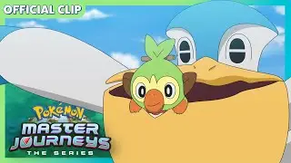 Pelipper’s Errand! | Pokémon Master Journeys: The Series | Official Clip