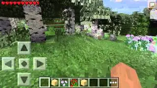Playing Minecraft with ironsteve