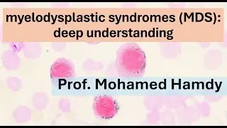 1c MDS flowcytometry deep understanding  dr mohamed hamdy