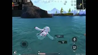 Livik last zone in water and full intense situation