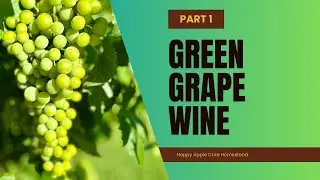 Green Grape Wine | Himrod | Part 1