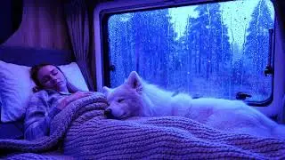Relaxing Rain Sounds with Thunderstorm Ambience for Peaceful Night Sleep