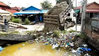 Finish the work by pouring rocks into the area, removing weeds, dead plants, and some trash with a s