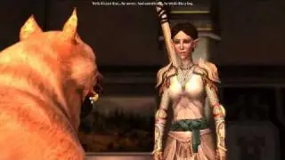 Merrill and the Mabaris sleeping arrangement