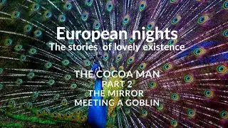 The stories of European nights. The Cocoa man. Part 2. The mirror and a goblin.